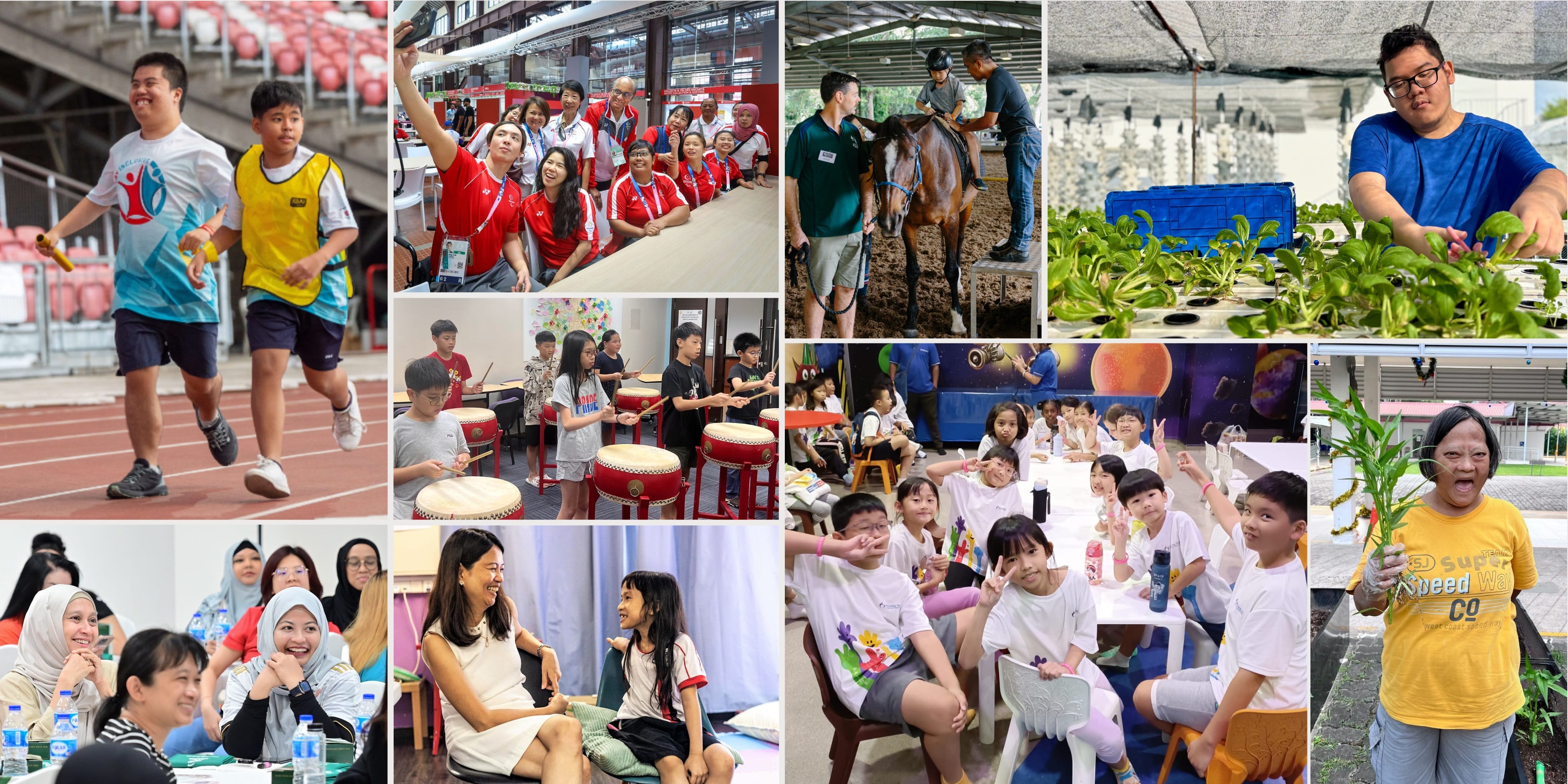 Collage of service users who benefitted from President's Challenge supported programmes